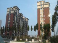 濰坊市和春住住宅樓，獲得2013年度濰坊市“優(yōu)質(zhì)結(jié)構(gòu)杯質(zhì)量獎(jiǎng)”